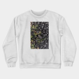 Green Grass Growing On Black Stones Crewneck Sweatshirt